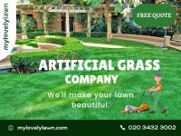 My Lovely Lawn image 1